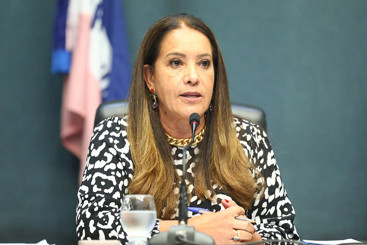 Janete de Sá em atuação nas comissões